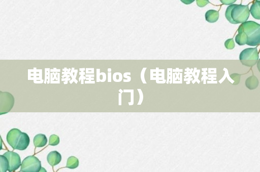 电脑教程bios（电脑教程入门）