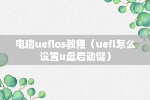 电脑ueflos教程（uefl怎么设置u盘启动键）