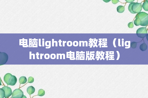 电脑lightroom教程（lightroom电脑版教程）