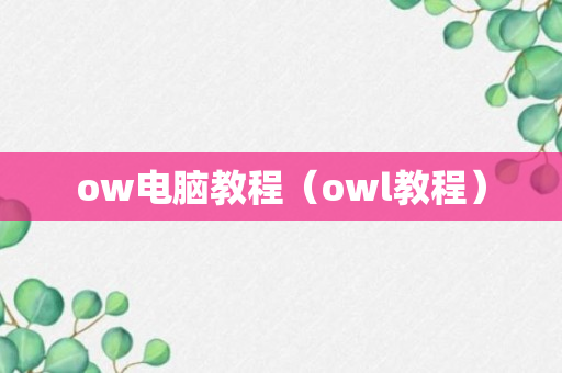 ow电脑教程（owl教程）