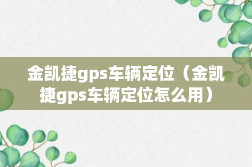 金凯捷gps车辆定位（金凯捷gps车辆定位怎么用）