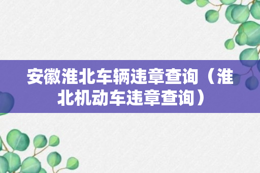 安徽淮北车辆违章查询（淮北机动车违章查询）