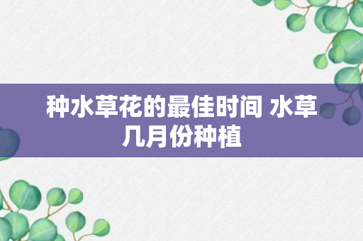 种水草花的最佳时间 水草几月份种植