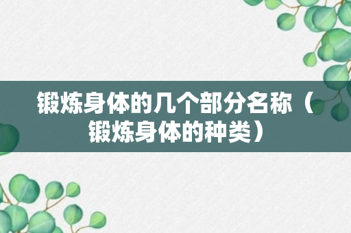 锻炼身体的几个部分名称（锻炼身体的种类）