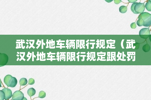 武汉外地车辆限行规定（武汉外地车辆限行规定跟处罚）