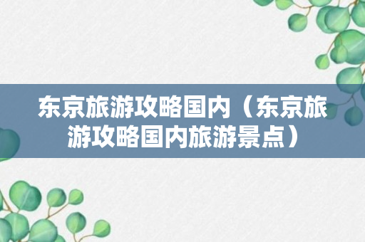 东京旅游攻略国内（东京旅游攻略国内旅游景点）