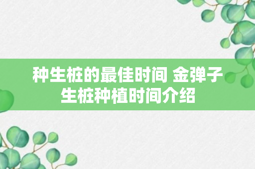 种生桩的最佳时间 金弹子生桩种植时间介绍