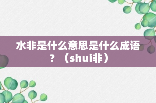 水非是什么意思是什么成语？（shui非）