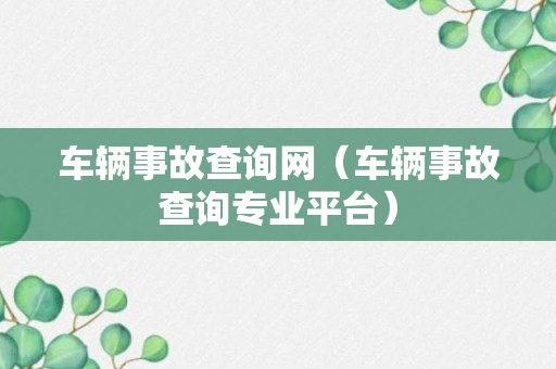 车辆事故查询网（车辆事故查询专业平台）