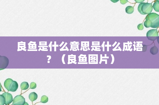 良鱼是什么意思是什么成语？（良鱼图片）