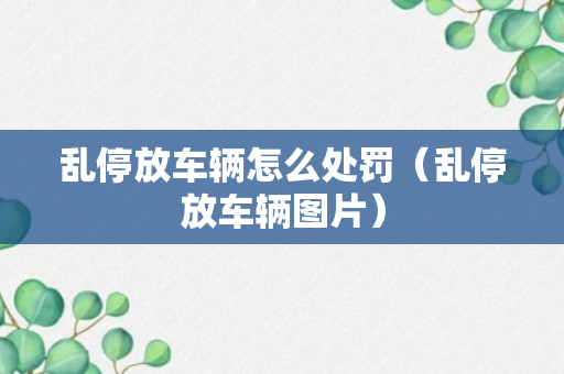 乱停放车辆怎么处罚（乱停放车辆图片）