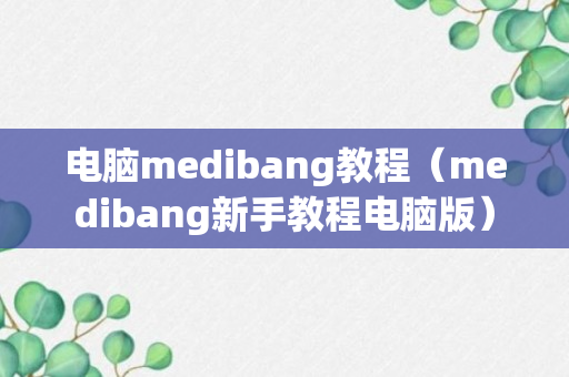 电脑medibang教程（medibang新手教程电脑版）