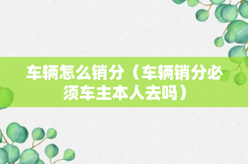 车辆怎么销分（车辆销分必须车主本人去吗）