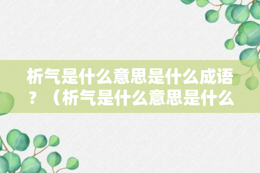 析气是什么意思是什么成语？（析气是什么意思是什么成语啊）