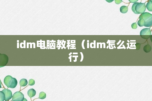idm电脑教程（idm怎么运行）