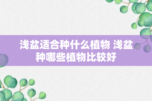 浅盆适合种什么植物 浅盆种哪些植物比较好