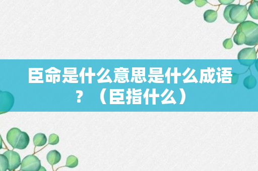 臣命是什么意思是什么成语？（臣指什么）