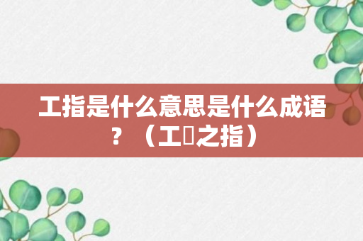 工指是什么意思是什么成语？（工倕之指）