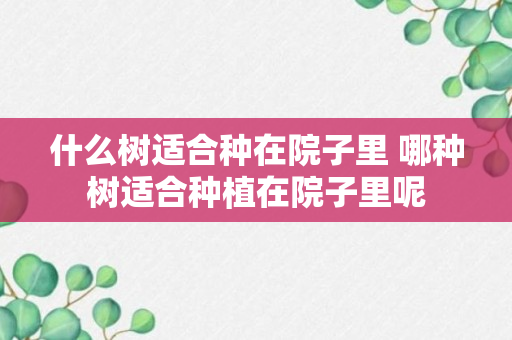 什么树适合种在院子里 哪种树适合种植在院子里呢