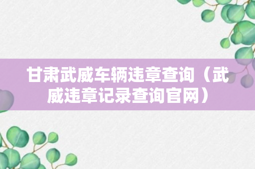 甘肃武威车辆违章查询（武威违章记录查询官网）