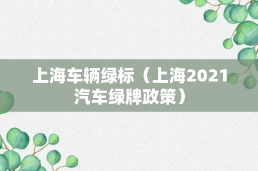 上海车辆绿标（上海2021汽车绿牌政策）