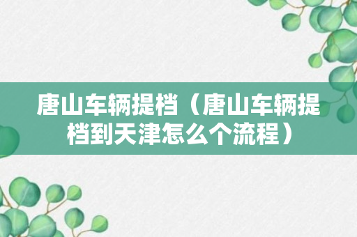 唐山车辆提档（唐山车辆提档到天津怎么个流程）