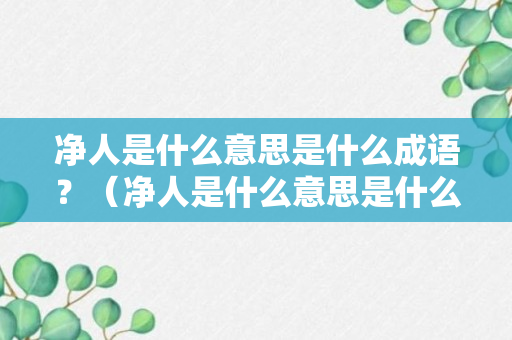 净人是什么意思是什么成语？（净人是什么意思是什么成语解释）