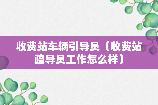 收费站车辆引导员（收费站疏导员工作怎么样）