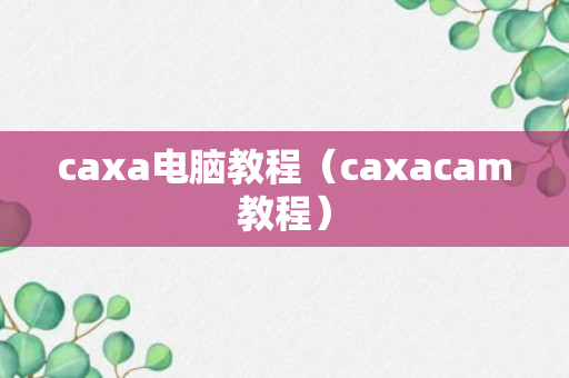 caxa电脑教程（caxacam教程）