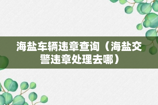 海盐车辆违章查询（海盐交警违章处理去哪）