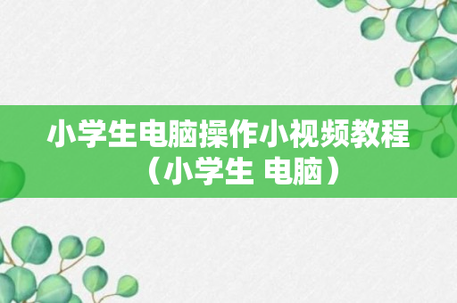 小学生电脑操作小视频教程（小学生 电脑）