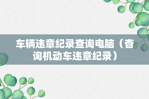 车辆违章纪录查询电脑（杳询机动车违章纪录）