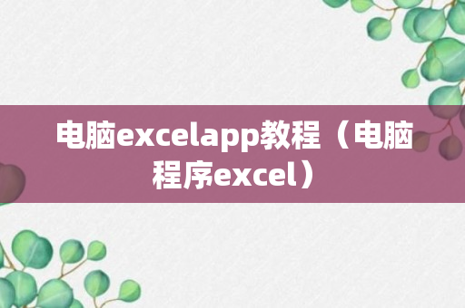 电脑excelapp教程（电脑程序excel）