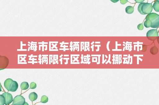 上海市区车辆限行（上海市区车辆限行区域可以挪动下车）