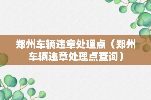 郑州车辆违章处理点（郑州车辆违章处理点查询）