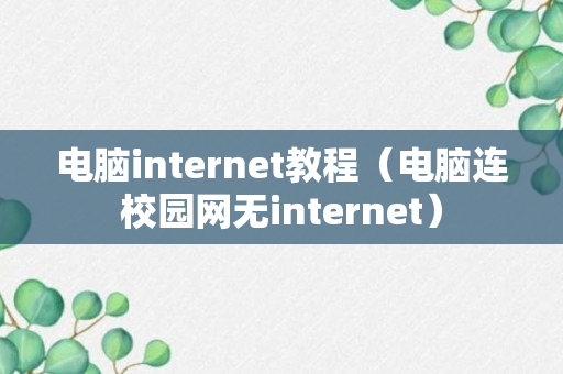 电脑internet教程（电脑连校园网无internet）