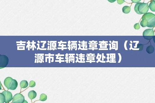 吉林辽源车辆违章查询（辽源市车辆违章处理）