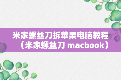 米家螺丝刀拆苹果电脑教程（米家螺丝刀 macbook）