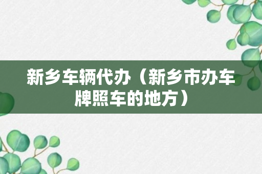 新乡车辆代办（新乡市办车牌照车的地方）