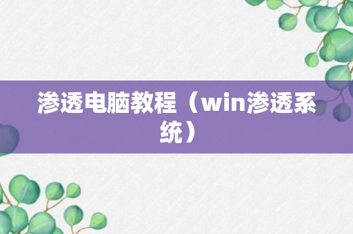 渗透电脑教程（win渗透系统）