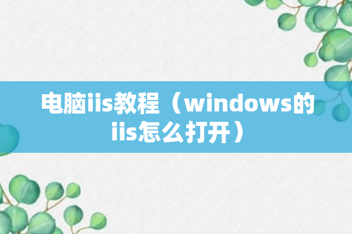 电脑iis教程（windows的iis怎么打开）