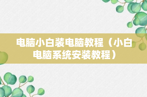 电脑小白装电脑教程（小白电脑系统安装教程）