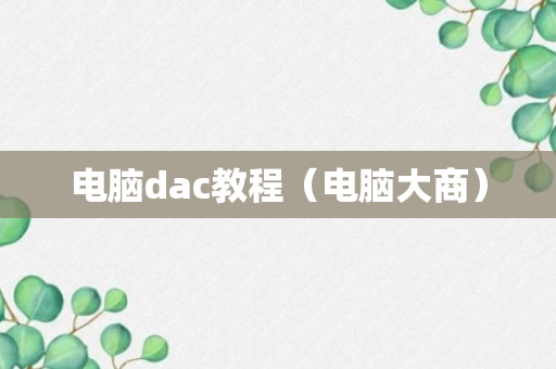 电脑dac教程（电脑大商）