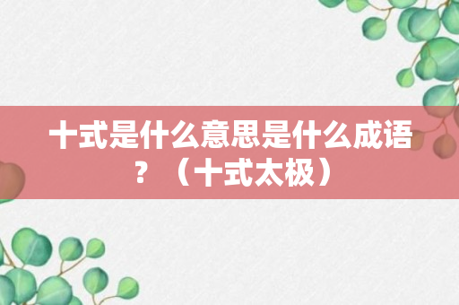 十式是什么意思是什么成语？（十式太极）