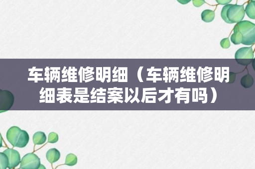 车辆维修明细（车辆维修明细表是结案以后才有吗）