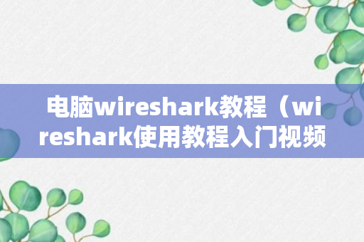 电脑wireshark教程（wireshark使用教程入门视频）