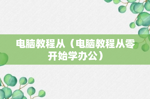 电脑教程从（电脑教程从零开始学办公）