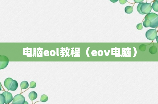 电脑eol教程（eov电脑）