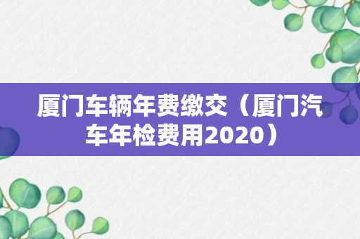 厦门车辆年费缴交（厦门汽车年检费用2020）