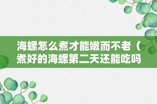 海螺怎么煮才能嫩而不老（煮好的海螺第二天还能吃吗说明）